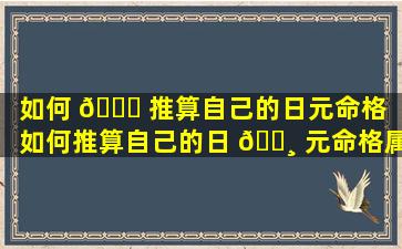 如何 🐞 推算自己的日元命格「如何推算自己的日 🕸 元命格属性」